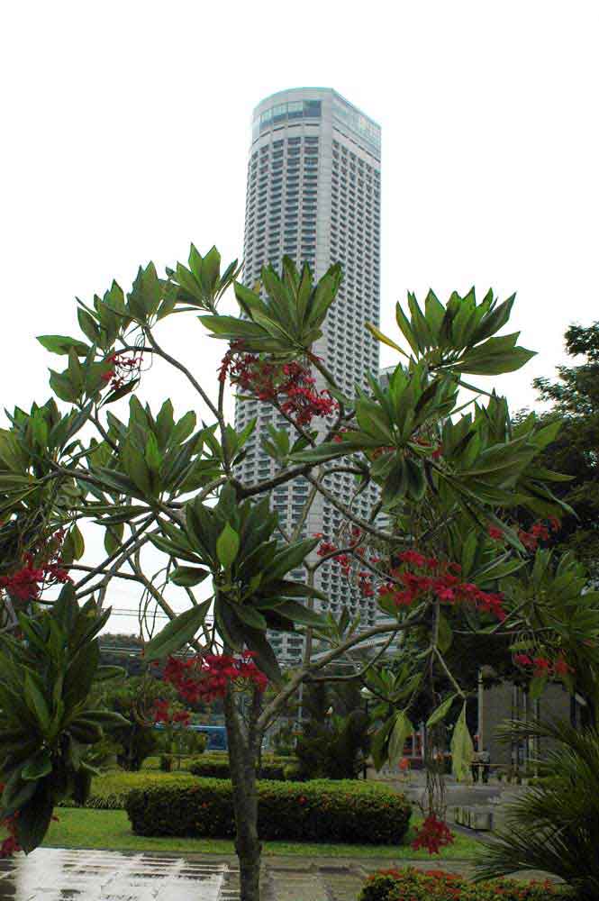 42 - Rep. de Singapur - Singapur, edificio